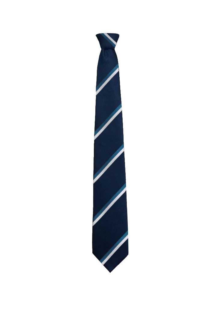 Timaru Girls High School Senior Tie Navy/Royal/White